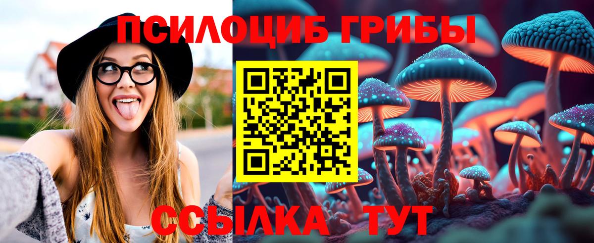 Псилоцибиновые грибы GOLDEN TEACHER Нефтеюганск