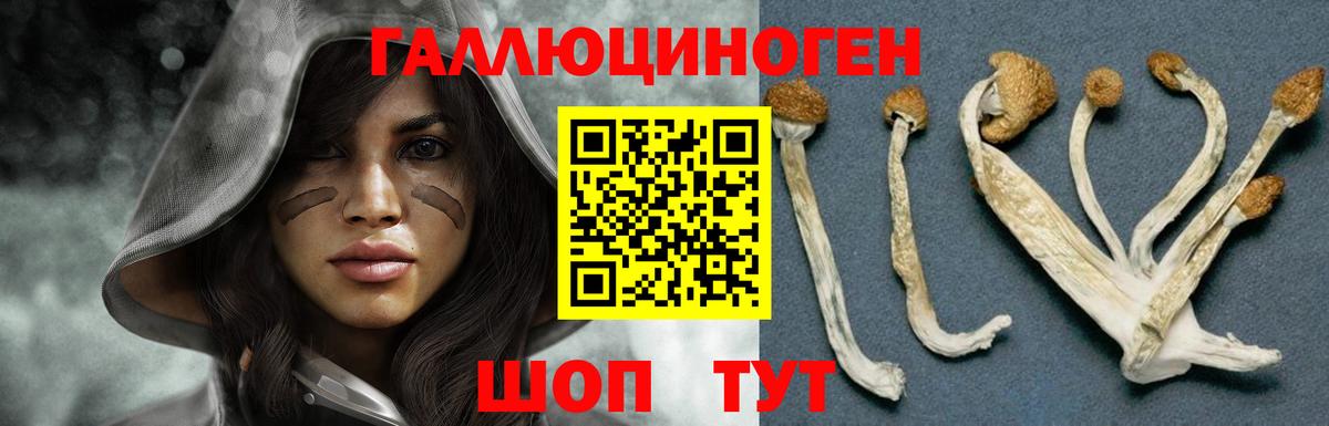 Нефтеюганск  Псилоцибиновые грибы Magic Shrooms  Вход с VPN 